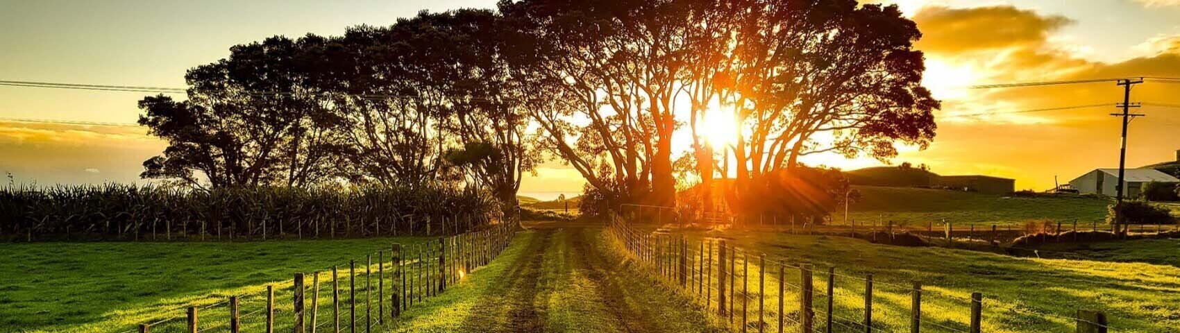 farm trail during sunset